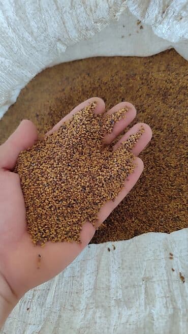 cia toxumunun istifade qaydasi: Məhsul: Yonca toxumu (Medicago sativa) – xırda dənəli, təmizlənmiş — 1
