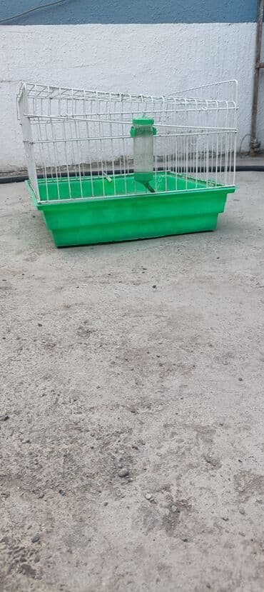 клетки для морской свинки: Qəfəslər — 2