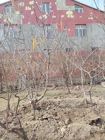 ipatekada olan evlerin satisi: Digah, 100 kv. m, 6 otaqlı, Hovuzsuz, Su — 4