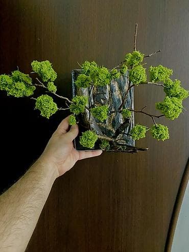 Divar dekoru – əl işi “bonsai” kompozisiyası - Material: təbii