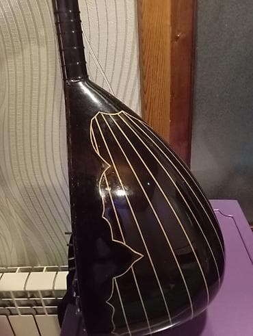korg pa 5x pro: Elektrikləşdirilmiş saz – unikal hibrid musiqi aləti - Korpus: armud — 3