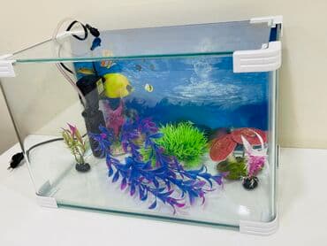 100 l akvarium: Akvarium dekorlari ile Filter ile sekilde olan hersey ile birlikde — 6