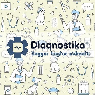 baytar it hekimi: Səyyar Baytar Xidməti • Вызов ветеринара на дом 👨🏻‍⚕️ Peşəkar və — 3