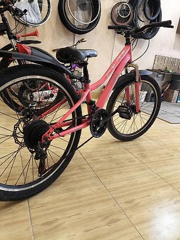 velospet: Toba dağ velosipedi – 24” təkərli, yüngül aluminiyə bənzər çərçivə — 1