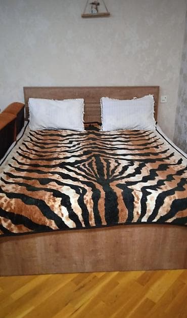 dernegul kiraye ev: Mərdəkanda mərkəzdə 1 otaqlı mənzil bina evi 5 mertebenin 3 mertebesi — 9