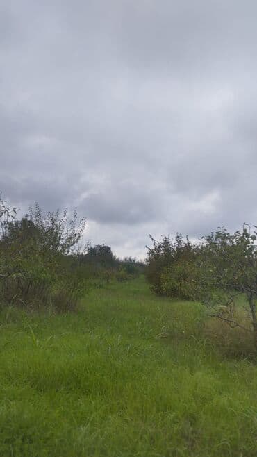 земельные участки на продажу: 30 соток, Для сельского хозяйства — 1