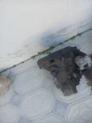 Sürət qutuları: Mexaniki, Fiat FIAT 2007 il, Orijinal, Almaniya, İşlənmiş — 2