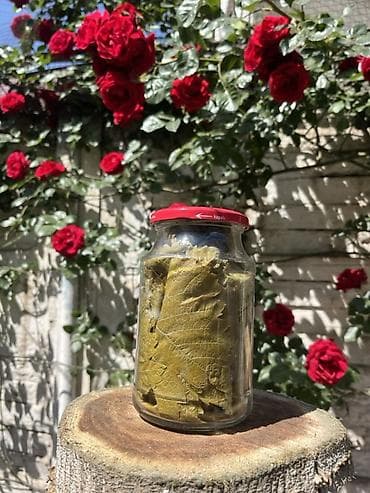 gence yemek sifarisi: 🍃 Seçilmiş tənək yarpaqları Ağzına qədər keyfiyyət 🌿 720 ML • 3₼ — 6
