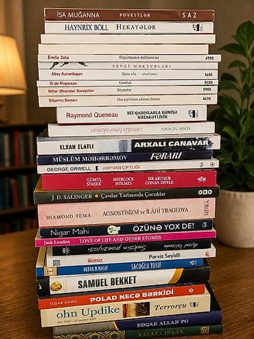 Müxtəlif janrlarda böyük kitab toplusu Təsvir: – Azərbaycan, türk — 3