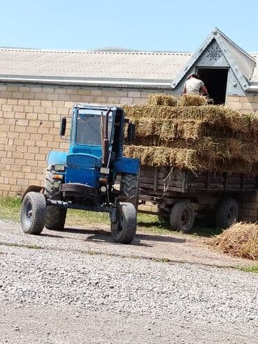 maz yuk masini: Mavi rəngli tək kabinəli təkərli kənd təsərrüfatı traktoru - Güclü — 5