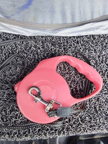 аксессуары для крупных собак: Sumqayıtdadır — 2