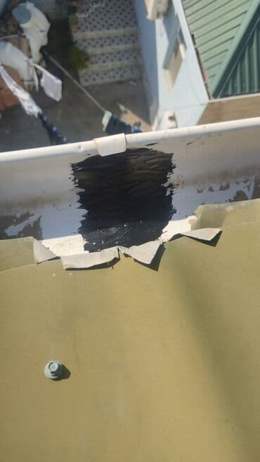 polun vurulmasi: Novlarin Təmizlənməsi Kleylənməsi Yoxlanib Təfil Verilməsi Bütün Növ — 5