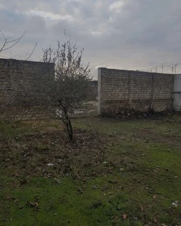 земельные участки в кусарах: 8 соток, Собственник, Купчая — 3