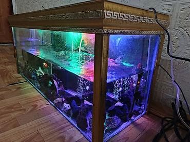 akvaryum: Akvaryum seliqəli halda uzunu 93 eni 33 hun 44 boş akvarium 60 AZN — 3