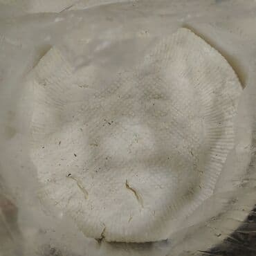 Süd məhsulları və yumurtalar: Temiz rayona gelme pendrdi — 4