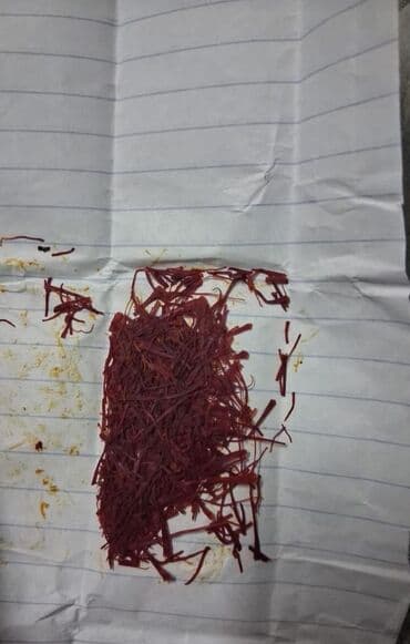 krivetka qiymeti: Zəfəran yerli bilgəh sortu nardaranda yetişir gördüyünüz kimi — 4