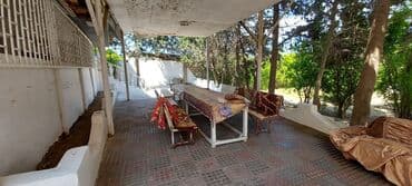 kiridit ev: Sahəsi geniş, yaşıllaşdırılmış həyəti olan bina. Həyətdə ağaclar — 6