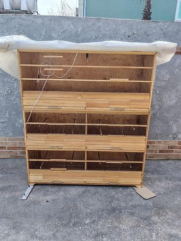 mal bazari: Taxta qəfəs, çoxsəviyyəli quş qəfəsləri sistemi. Uzunluğu - — 3