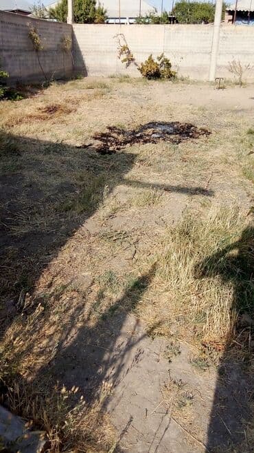 həzidə kirayə evlər: Tikinti — 1