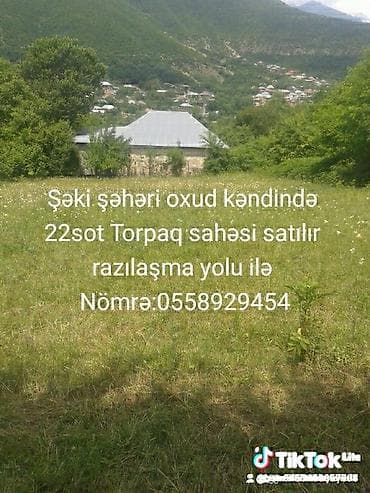 Tikinti — 1