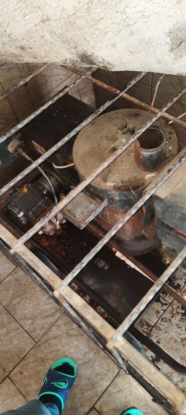 zeytun ağacı satışı: TECÌLÌ SATILIR ÌŞLEYÌR TEZYÌQ ZEÌFDÌ — 3