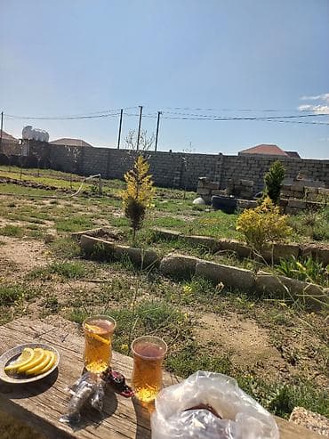 10 sot, Tikinti, Mülkiyyətçi, Bələdiyyə