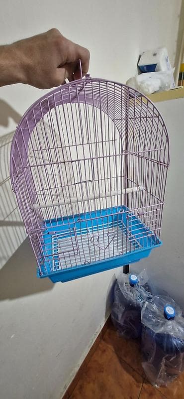 С/х животные и товары: Yeni almışıq. 15 manata.
10 manata satırıq — 2