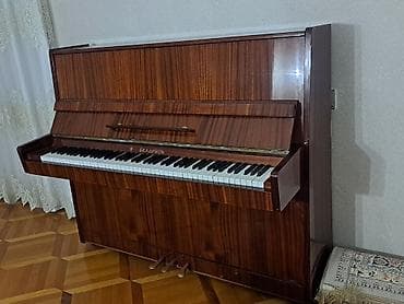 Fleytalar: Piano, Belarus, Akustik — 3