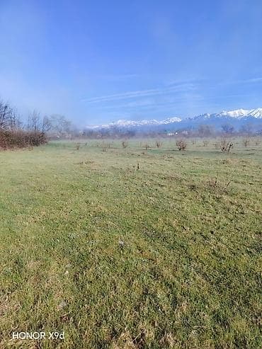 qebele torpaq: 30 sot, Kənd təsərrüfatı, Mülkiyyətçi, Texniki pasport — 4