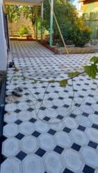 tamet dizayn: Aglay daşlari — 1