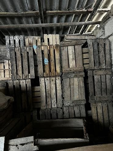 odunluq taxtalar: Alma yeşikləri meyvə bağı satıldığı üçün istifadə olunmur deye — 3