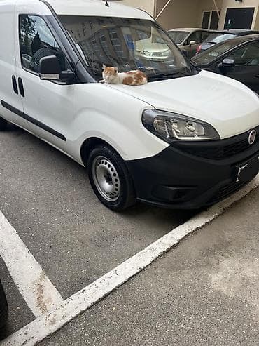 fiat doblo avtomat: Fiat Doblo: 1.4 l | 2019 il 244638 km Mikroavtobus — 7