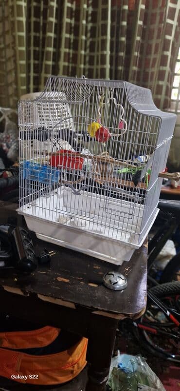 qəfəslər: Quş qəfəsi – aksesuarlarla birlikdə - Material: metal barmaqlıqlar — 1