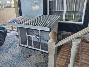 Papuqay artirib saxlamaqa boyuk olculu qefes isdenilen tepiraturda lalafo.az -da Papuqay artirib saxlamaqa boyuk olculu qefes isdenilen tepiraturda