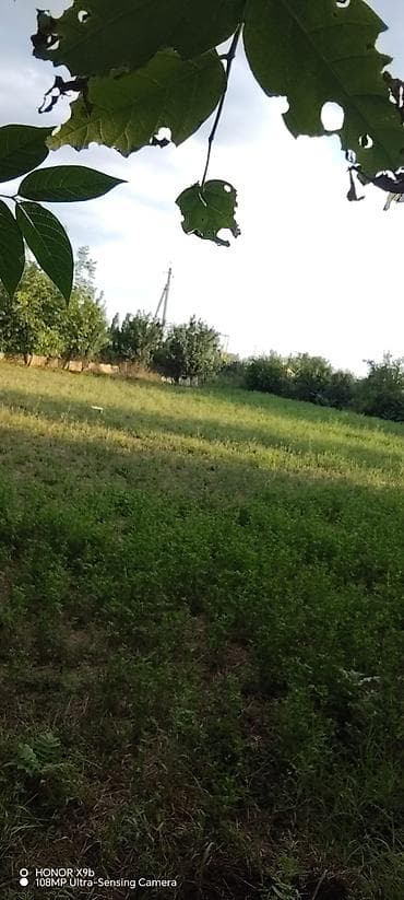 28 may masaj salonu: 10 sot, Tikinti, Kupça (Çıxarış) — 5