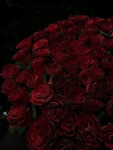 ucuz gül: 101 Roza topdan qiymete satis Her sayda rozalardan buket hazirlanir — 4