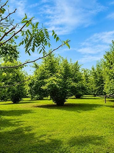 Продажа участков: 4 соток, Для строительства, Собственник, Купчая — 5