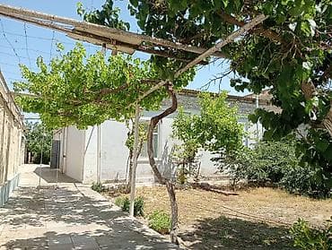 razində ev: 9 sot, Kupça (Çıxarış) — 5