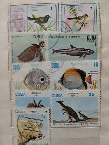 Markalar. Qiymətlər müxtəlifdir. Set şəklində satılır — 2