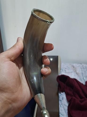 Buynuzlar: Təbii buynuzdan hazırlanmış dekorativ içki buynuzu (cütlük — 1