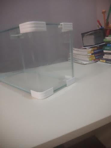 bala keçi: Şüşə akvarium - Ölçülər: təxminən 35 sm uzunluq, 19–20 sm en, 22–23 — 5