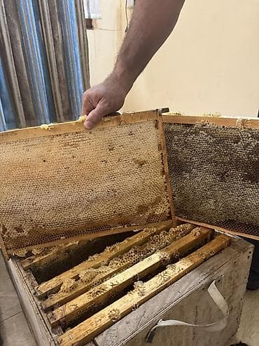 İçkilər: Süzülmüş təmiz dağ balı. Öz istifadəmiz üçün saxlayırıq artıq olanı — 1