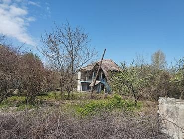 yeni guneşlide ucuz evler: Kənd təsərrüfatı — 7