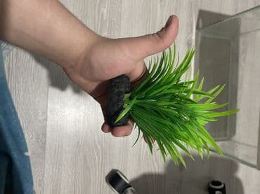 akvarium işıq: Dördbucaq akvarium, Boş, 20 l, Ünvandan götürmə — 8