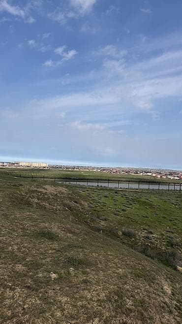 Tikinti, Kupça (Çıxarış)