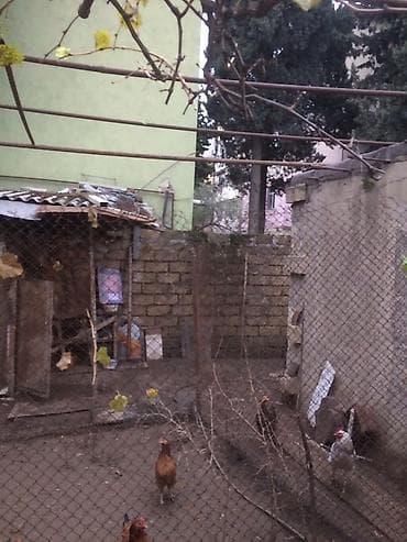 Квартиры: Баладжары 3 комнаты, 3 м² — 10