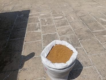 bitki guli: Salam. 1)Arpa sortu garabag 22 er 1. 16yon var. 2)Yonca toxumu — 2
