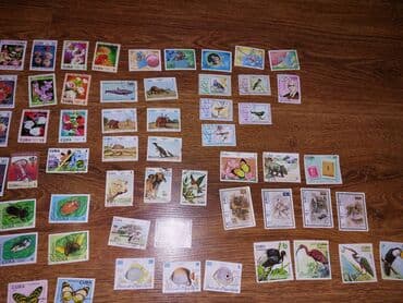 george marka: * Sovet vaxtından qalan xarici markalar. Yeni olaraq o vaxtdan bağlı — 3