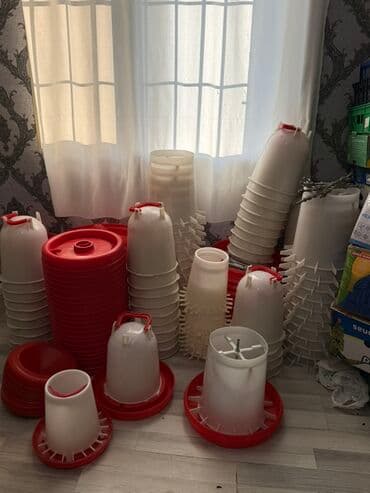 İtlər: Yem qabı, Su üçün, Heyvanlar üçün — 8