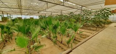 turkanda ev: Bakı, Türkan qəs., 1500 kv. m, 7 otaqlı, Hovuzlu, Qaz, İşıq, Su — 11